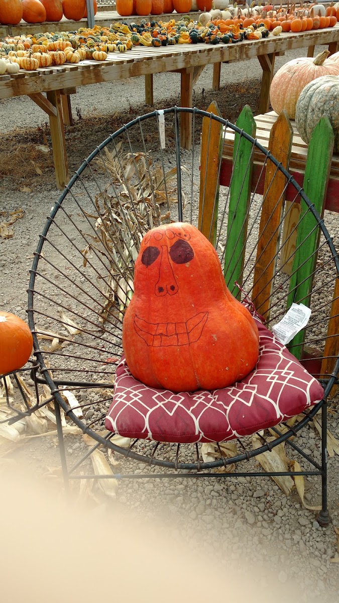 Hilltop Greenhouse and Farm photo 2