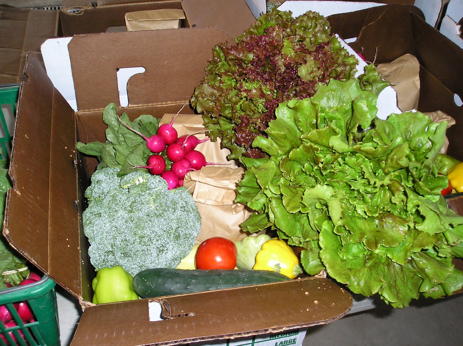 Hilltop Greenhouse and Farm photo 5