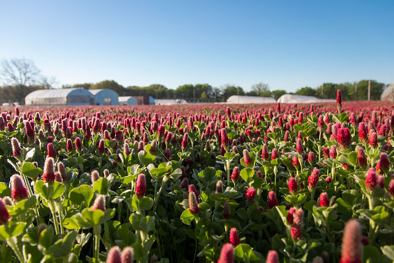 BetterTogether Farm photo 3