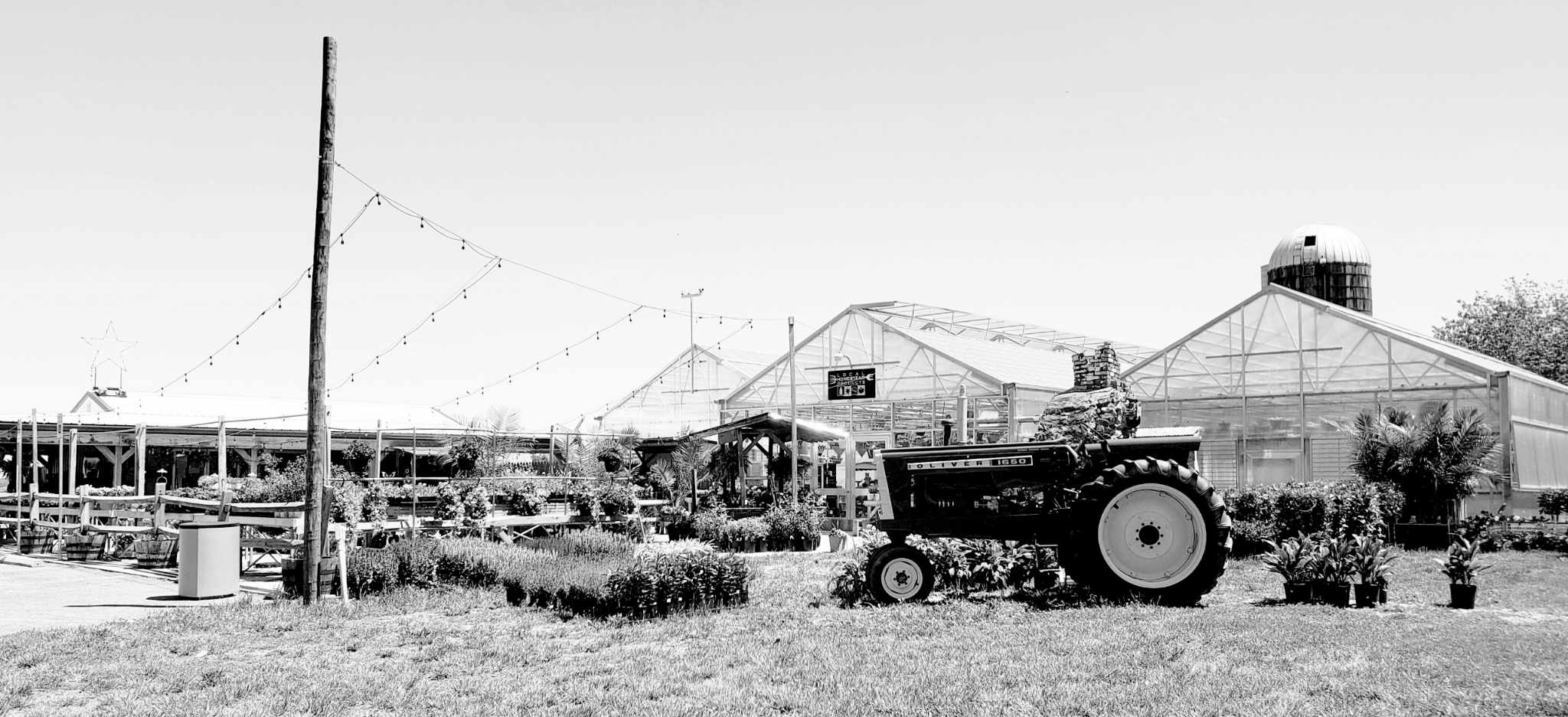 Local Homestead Products LLC