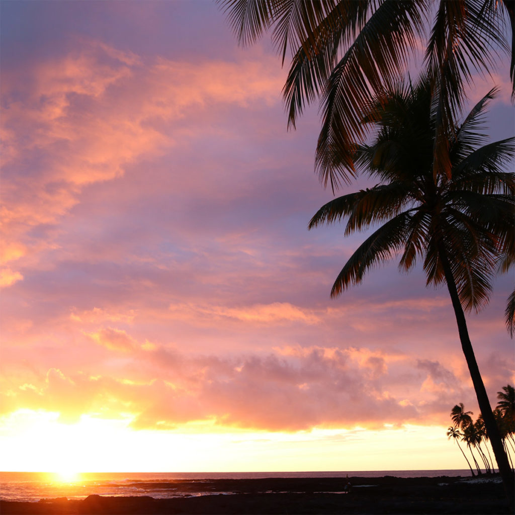 Honaunau Farm Wellness Retreat