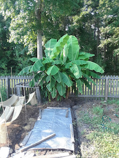 Hite Horticulture, Inc. photo 14