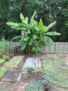 Hite Horticulture, Inc. photo 15