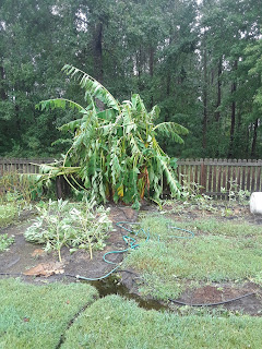 Hite Horticulture, Inc. photo 16