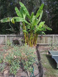 Hite Horticulture, Inc. photo 17
