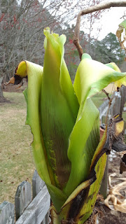 Hite Horticulture, Inc. photo 3