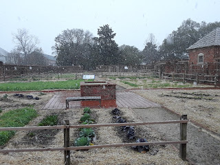 Hite Horticulture, Inc. photo 19