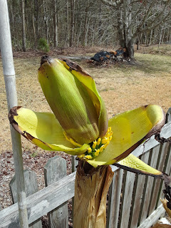 Hite Horticulture, Inc. photo 22