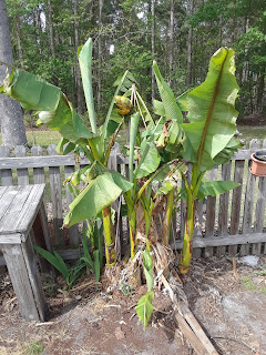Hite Horticulture, Inc. photo 24