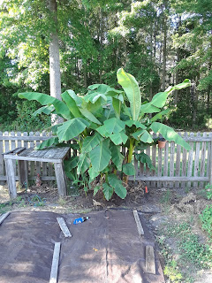 Hite Horticulture, Inc. photo 8