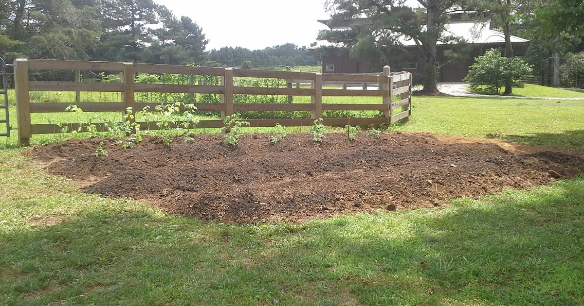 Nook & Cranny Farms of GA photo 10