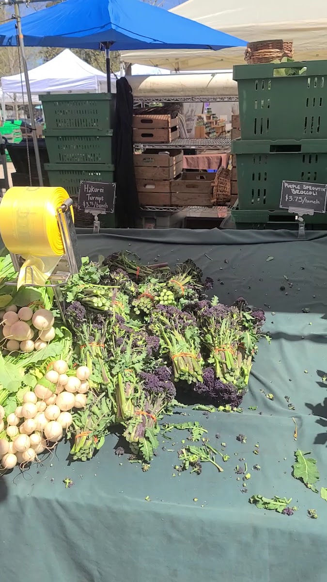 Lane County Holiday Farmers Market photo 3