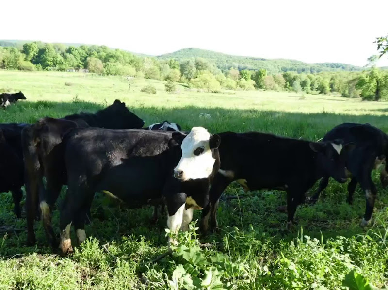 Sweetman's Farm Grass-fed Beef
