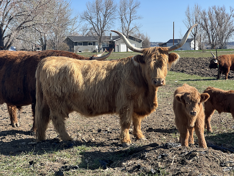 Shepherd’s Path Farm
