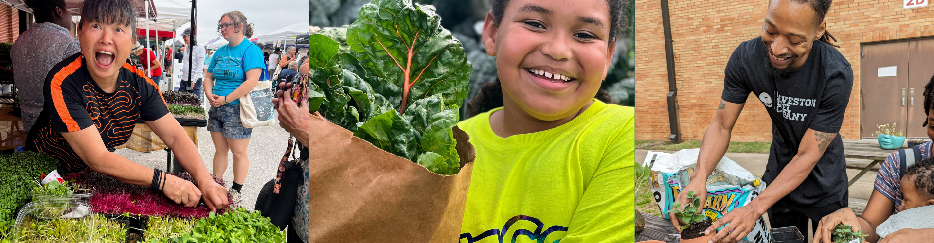 Galveston's Own Farmers Market photo 10