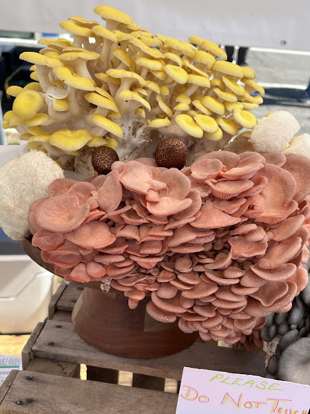 Four Wall Farm photo 9