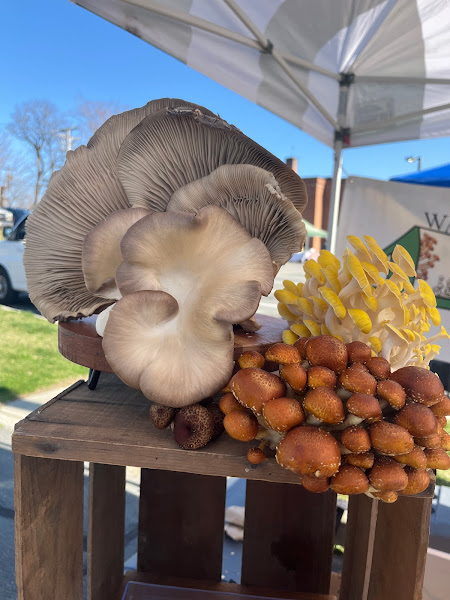 Four Wall Farm photo 10