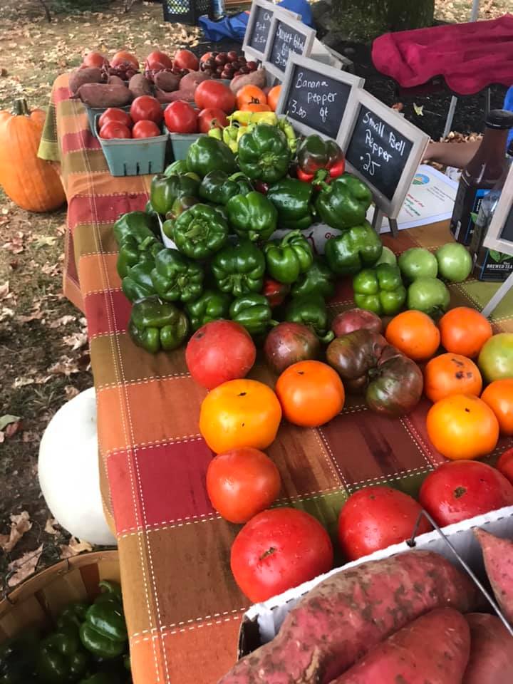 Adams County Farmer's Market photo 3