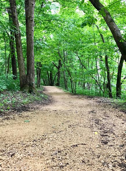 The Territory Farmers' Market