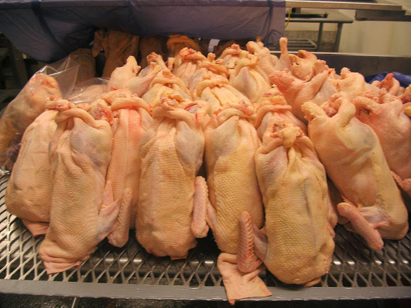 Florida Fresh Meat Company & Florida Glatt Kosher Meats