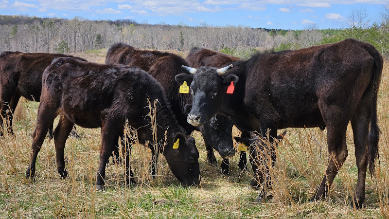 Ault's Family Farm