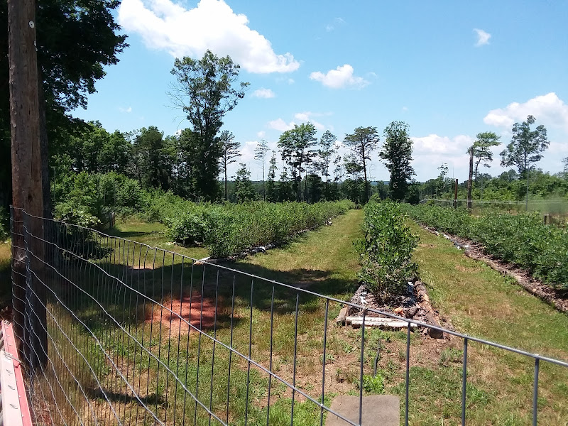 Ault's Family Farm photo 2