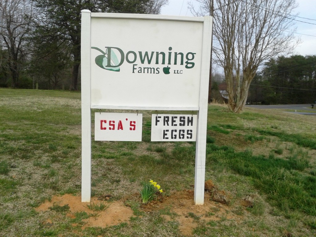 Downing Farms, LLC