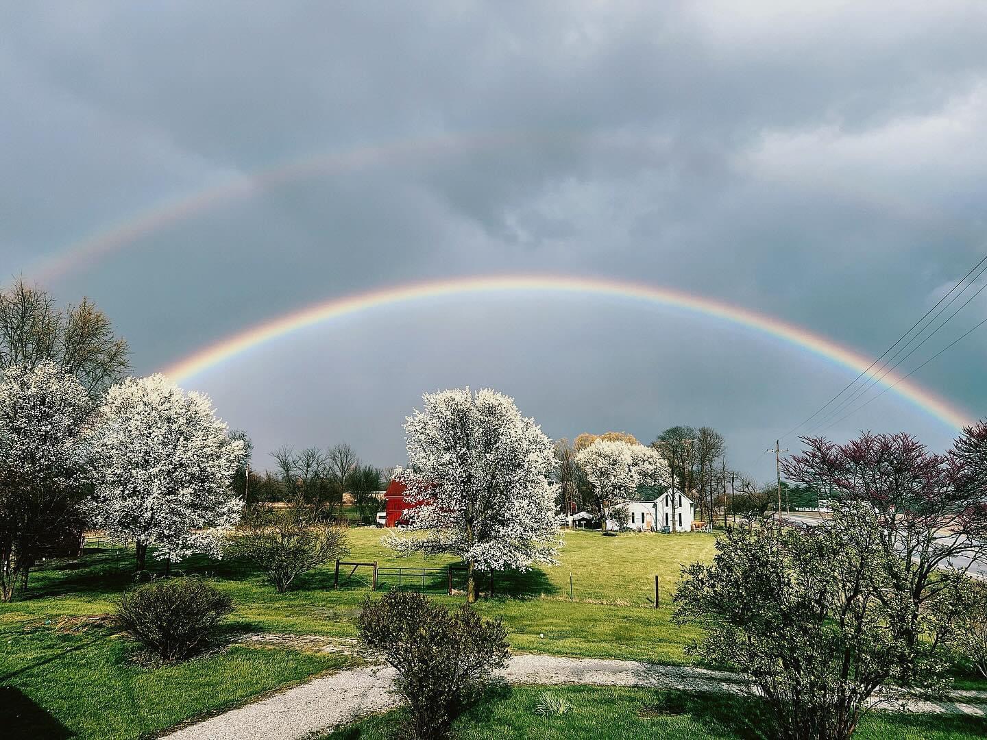 Copper Bells Farm photo 2
