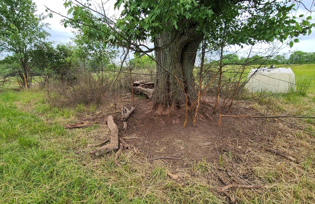 Belted Oak Ranch photo 3