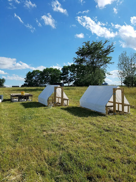 Belted Oak Ranch