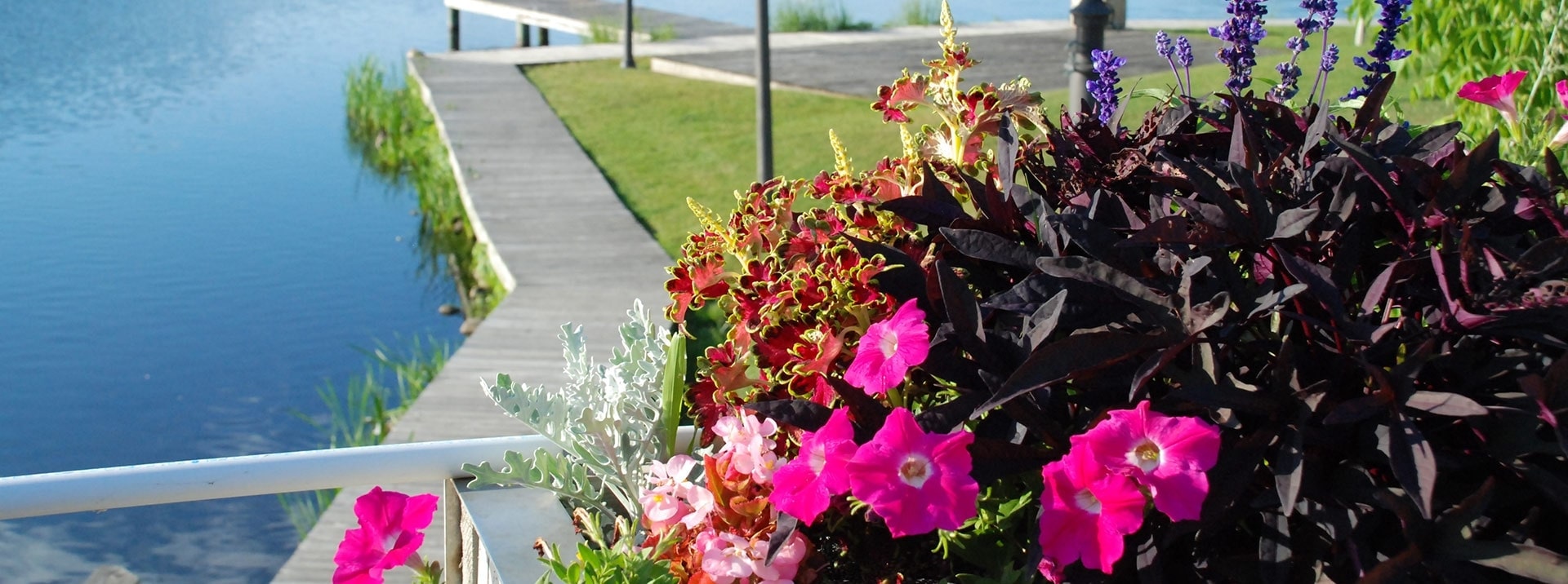 Paw Paw Farmer's Market