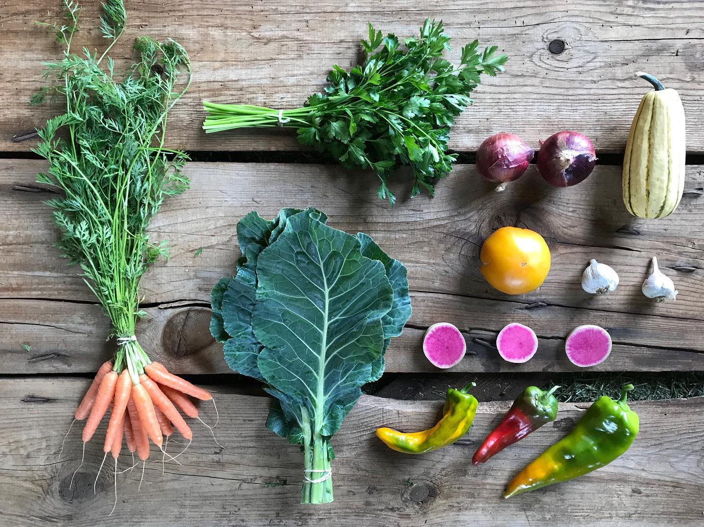 Durango Farmers Market photo 4