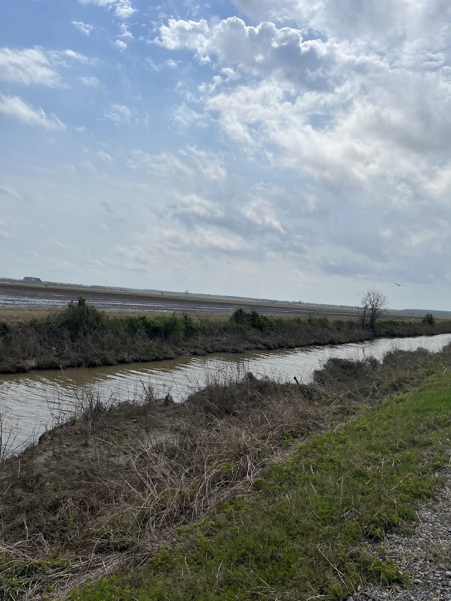 Bald Knob Farm photo 3