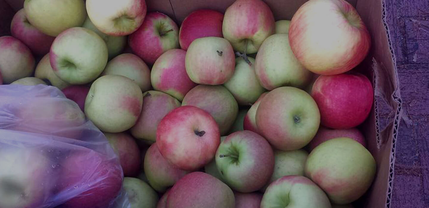 Augusta Market at the River