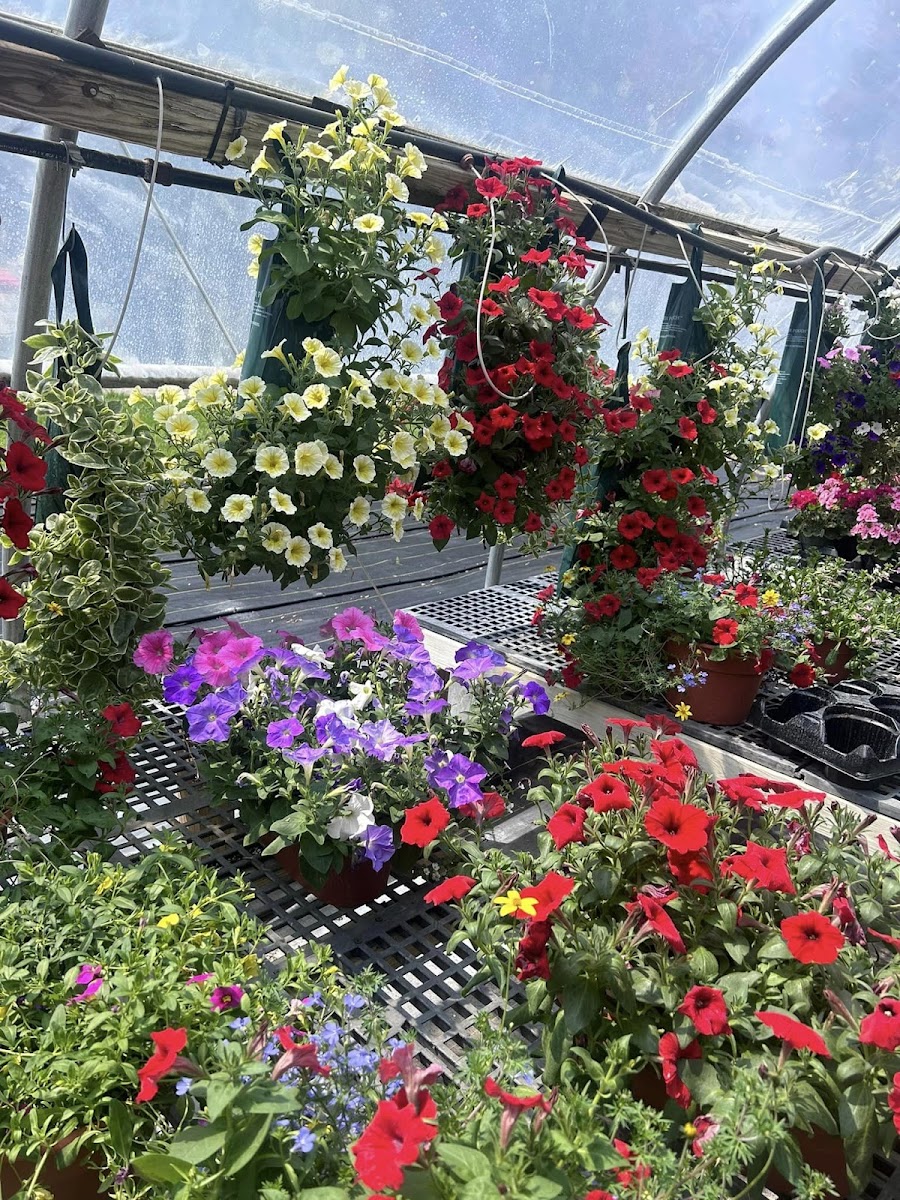 Fruth's Sugar House, Greenhouse & Floral Shop photo 5