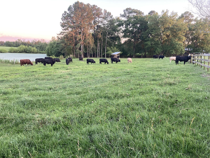 Terrace Ridge Farm, LLC