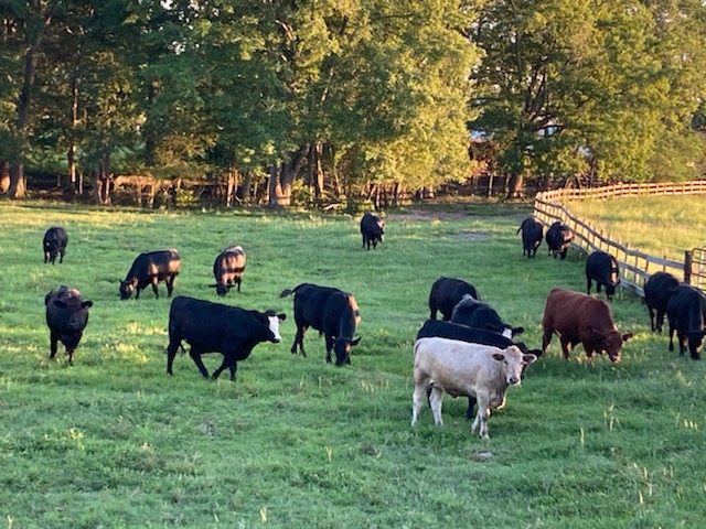 Terrace Ridge Farm, LLC photo 2