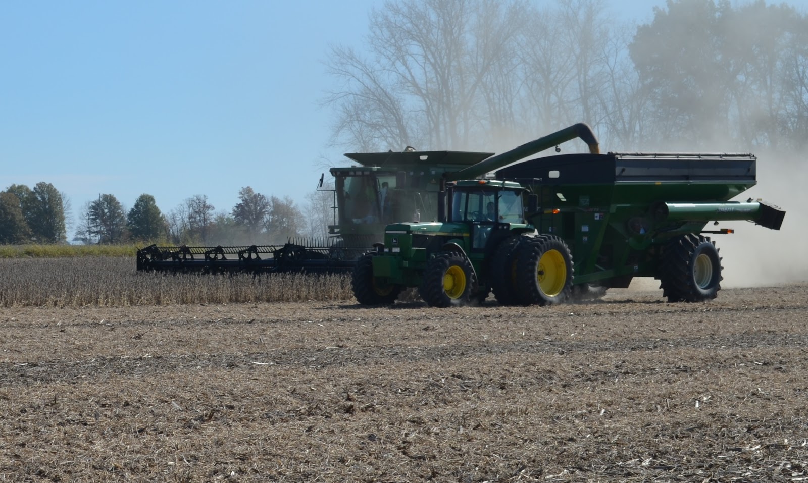 Dale Filbrun Morning Sun Organic Farm photo 2