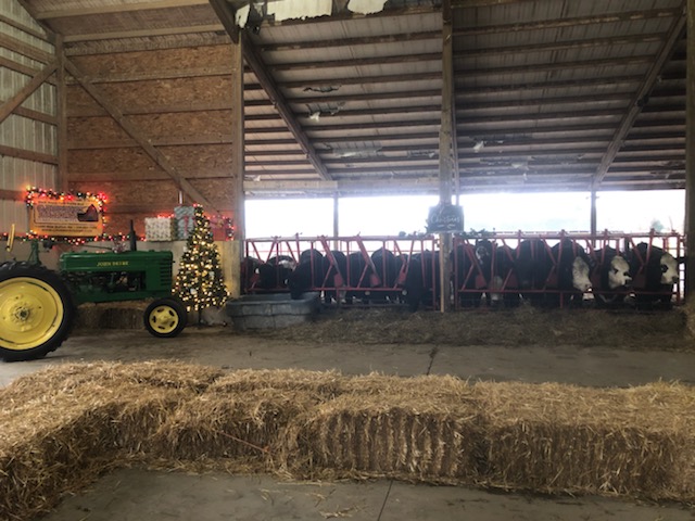 Horodyski's White Barn Farm photo 6