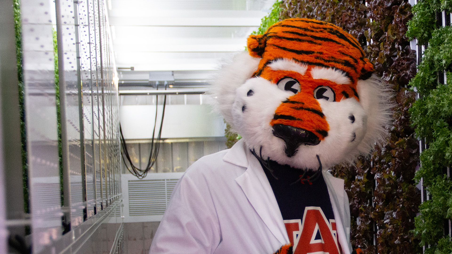 Lambert-Powell Meats Laboratory