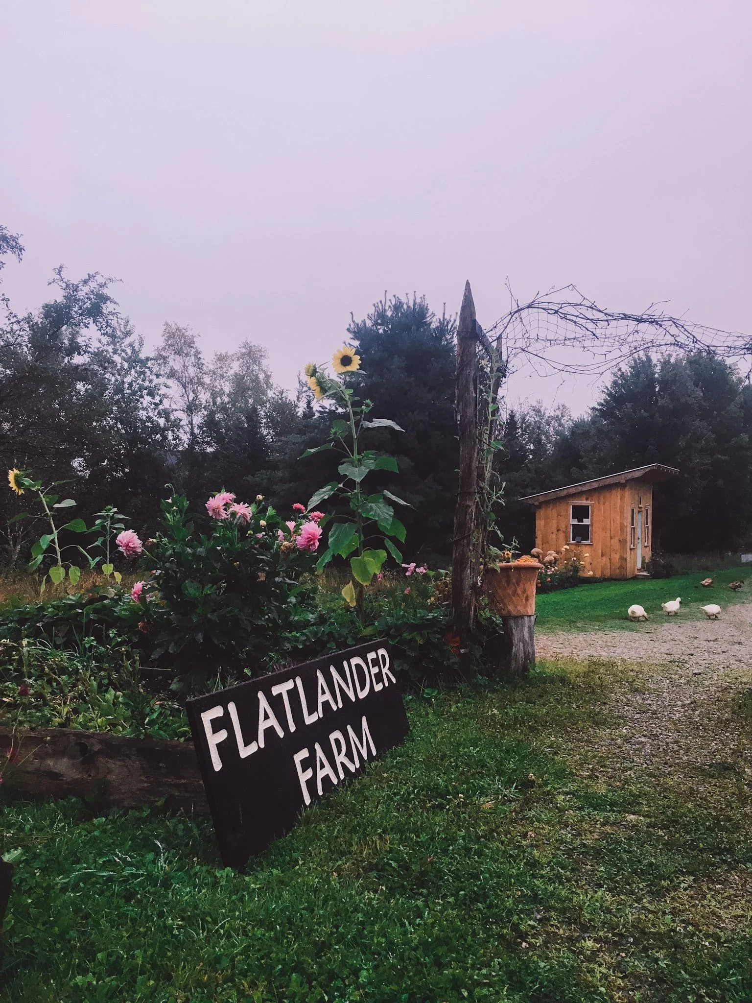 The Farmstand at Flatlander Farm