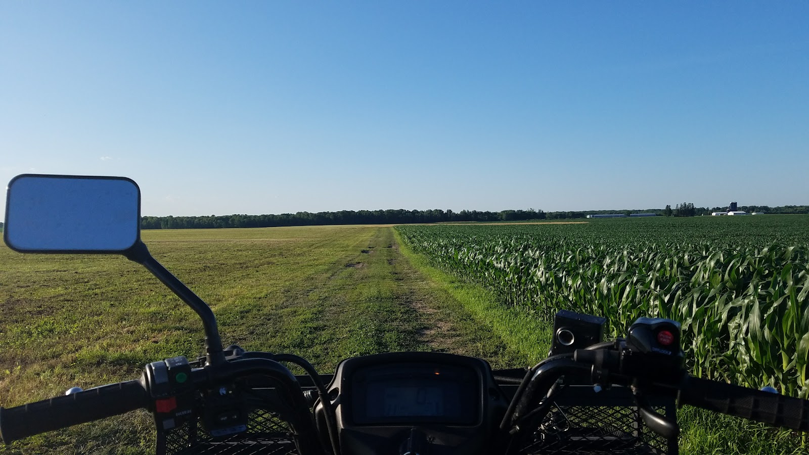 McCann Goat Farm photo 4