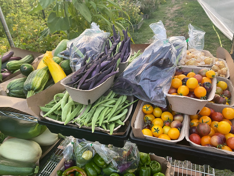 Carlton Creek Organic