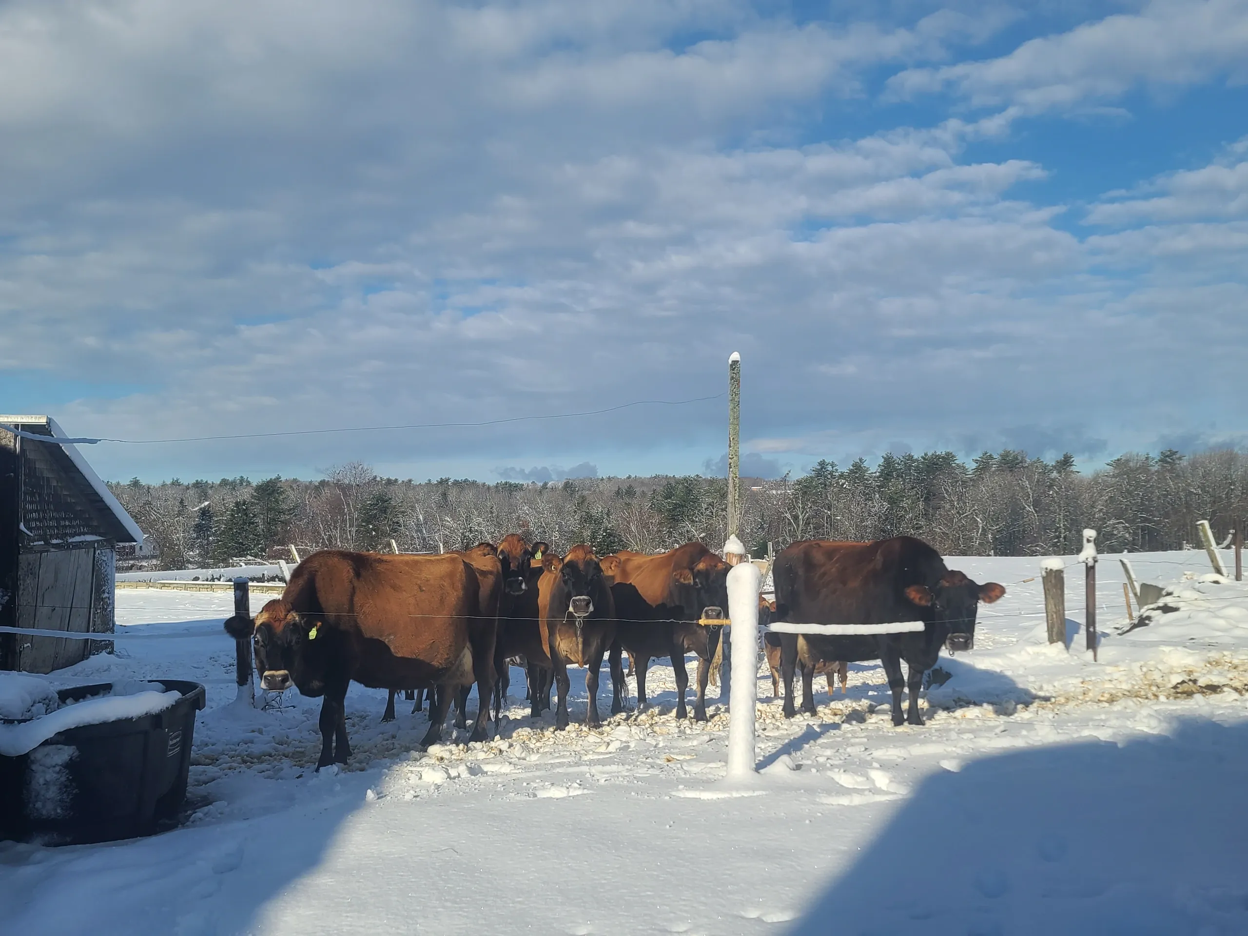 Creamy Acres Creamery