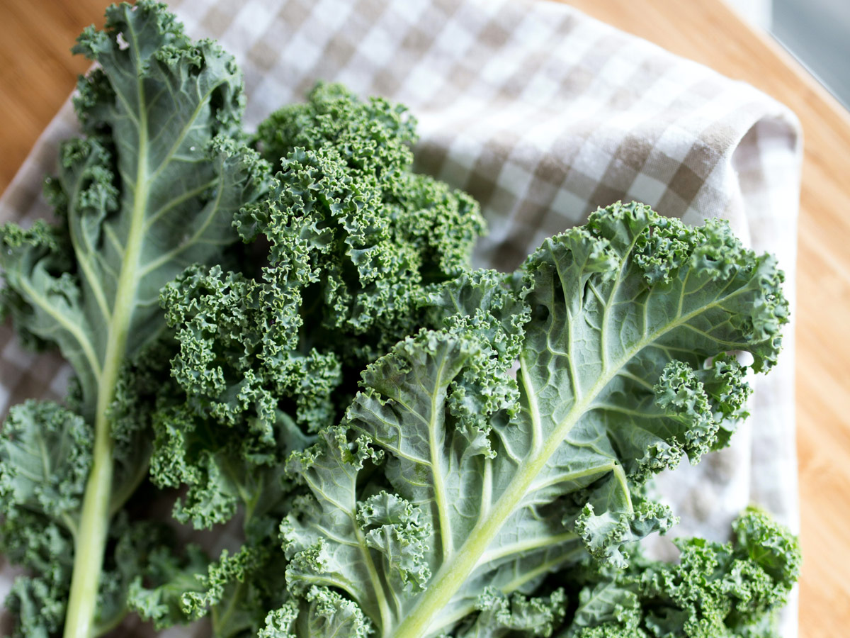 Phoenix Hill Nulu Farmers Market