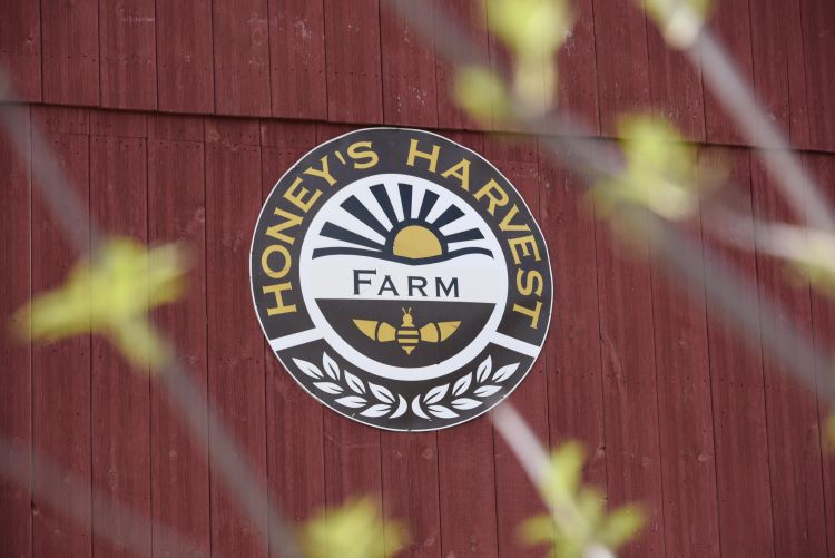 Honey's Harvest Farm photo 14