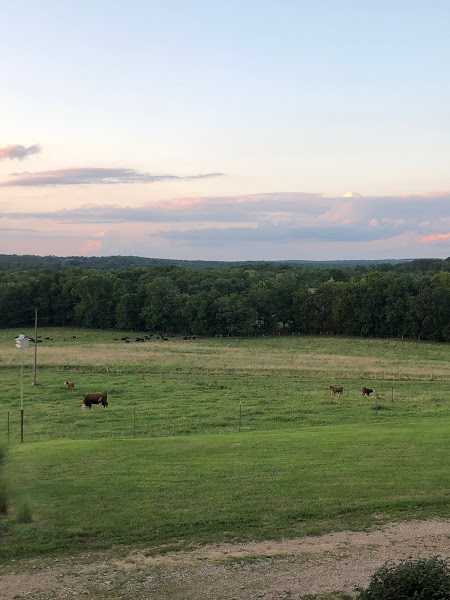 Delhi Sustainable Farms