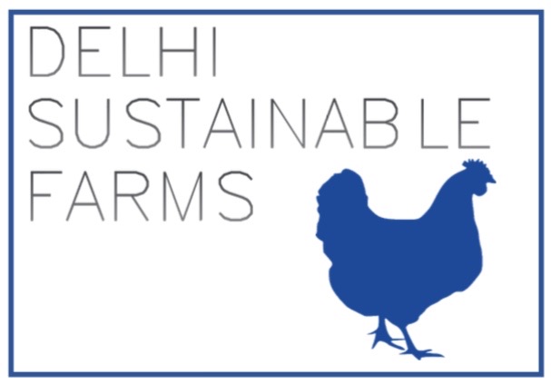 Delhi Sustainable Farms photo 4