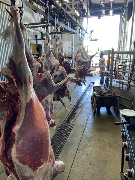 Snake River Processing