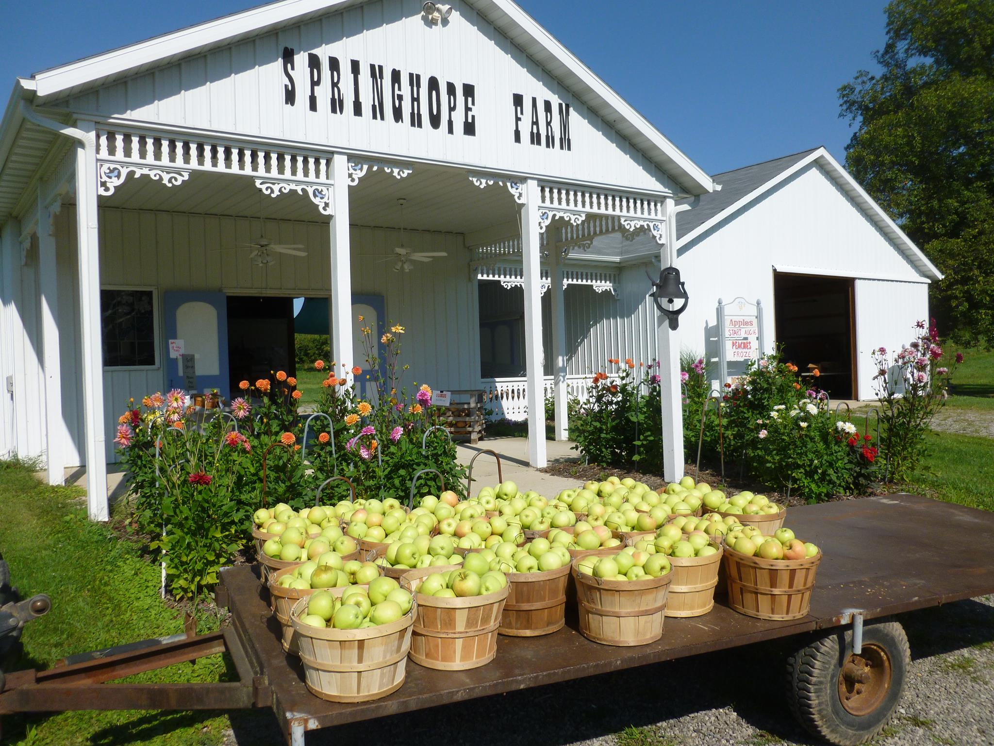Springhope Farm